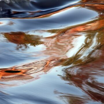 Artwork thumbnail, Orange Tendril by littleoldhag