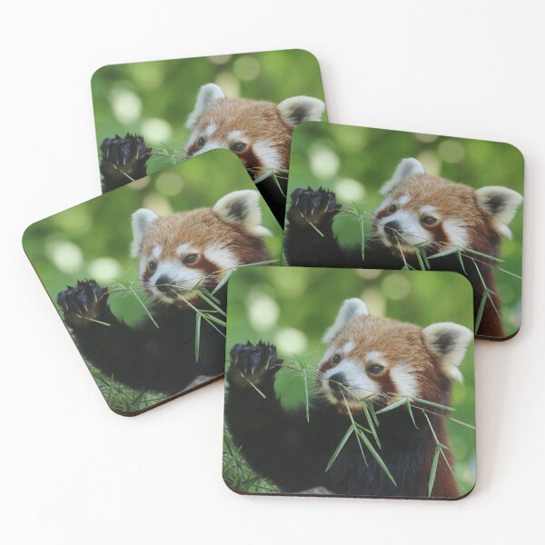 Item preview, Red Panda 002 designed and sold by JAMFoto.