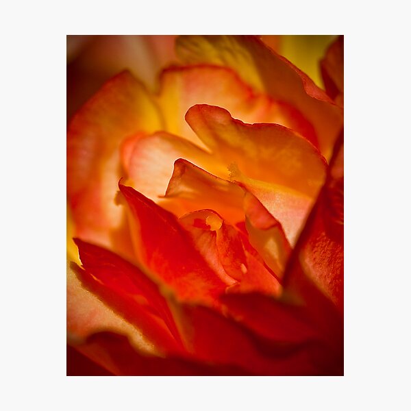 Flame Photographic Print