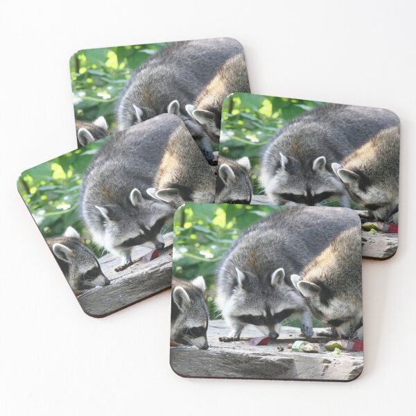 Item preview, Raccoon 002 designed and sold by JAMFoto.