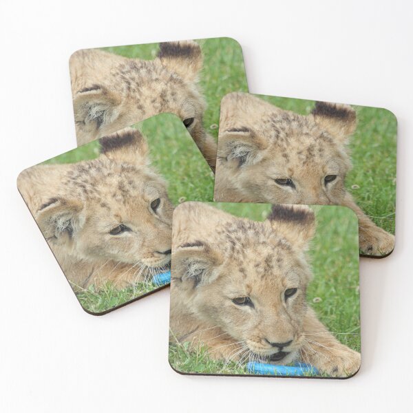 Item preview, Lion 005 designed and sold by JAMFoto.