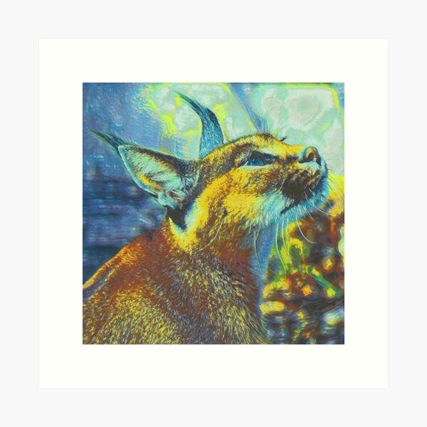 Caracal Dreaming II Art Print