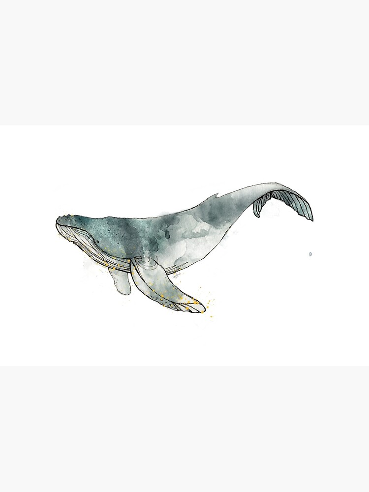Humpback Whale by AmyHamilton