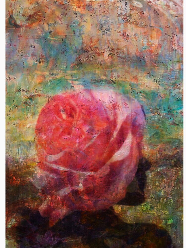 Rosehead by Mackill