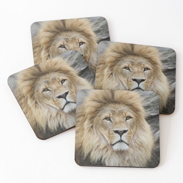 Item preview, Lion 042 designed and sold by JAMFoto.
