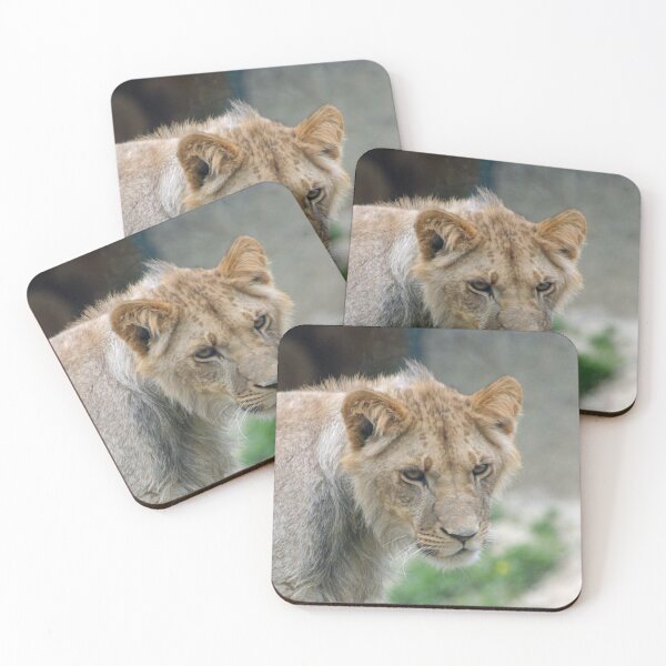 Item preview, Lion 029 designed and sold by JAMFoto.