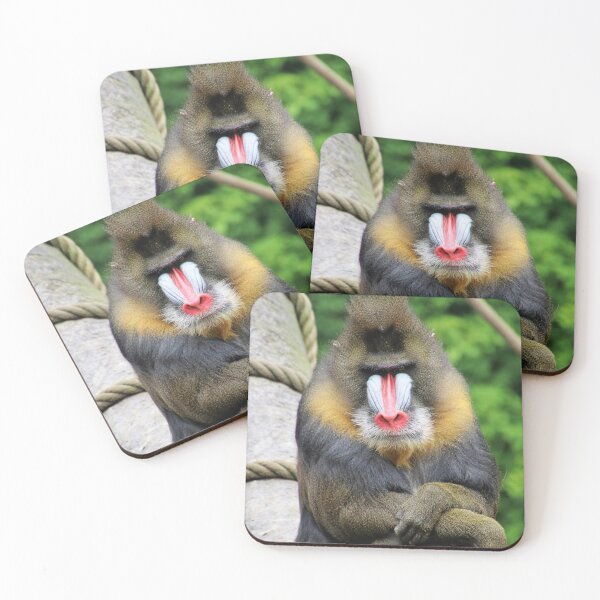 Item preview, Mandrill 001 designed and sold by JAMFoto.