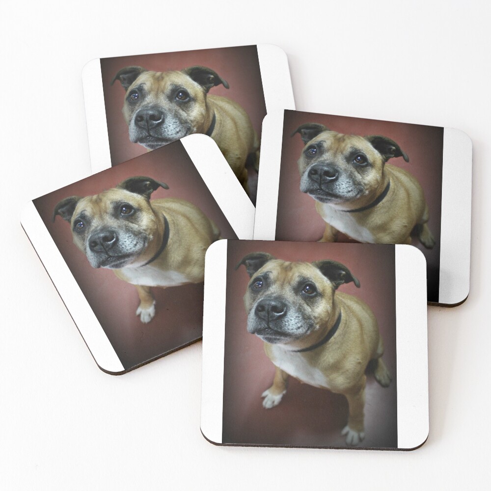 Item preview, Coasters (Set of 4) designed and sold by Ladymoose.