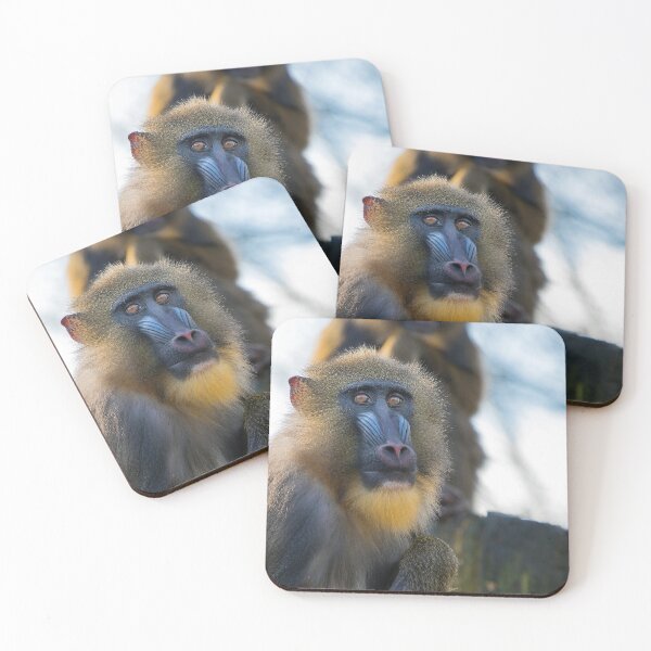 Item preview, Mandrill 008 designed and sold by JAMFoto.