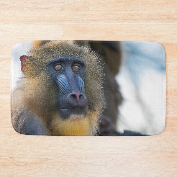 Item preview, Mandrill 008 designed and sold by JAMFoto.