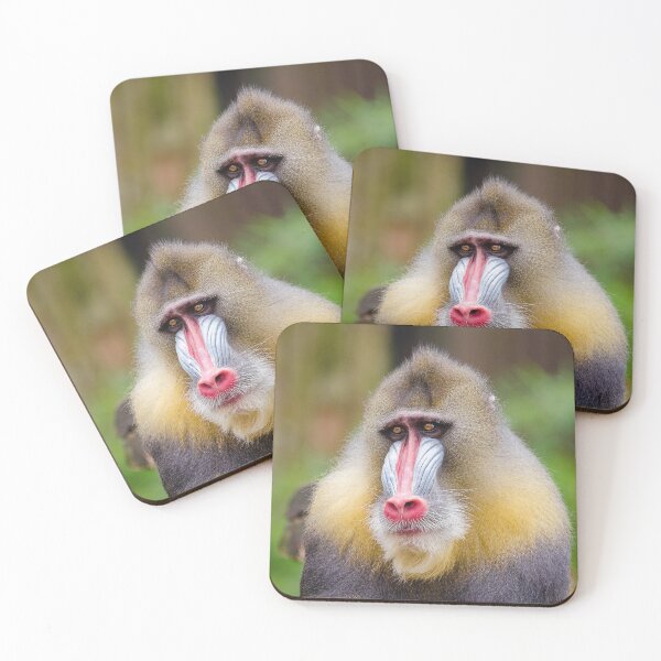 Item preview, Mandrill 013 designed and sold by JAMFoto.