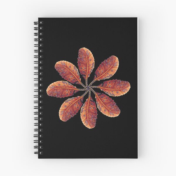 Item preview, Banksia robur leaf watercolour designed and sold by Tanya Scharaschkin.