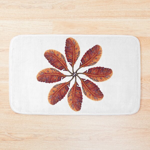 Item preview, Banksia robur leaf watercolour designed and sold by Tanya Scharaschkin.