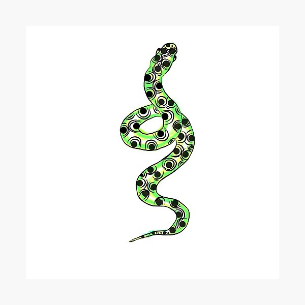 Gucci Snake - Magna Canvas