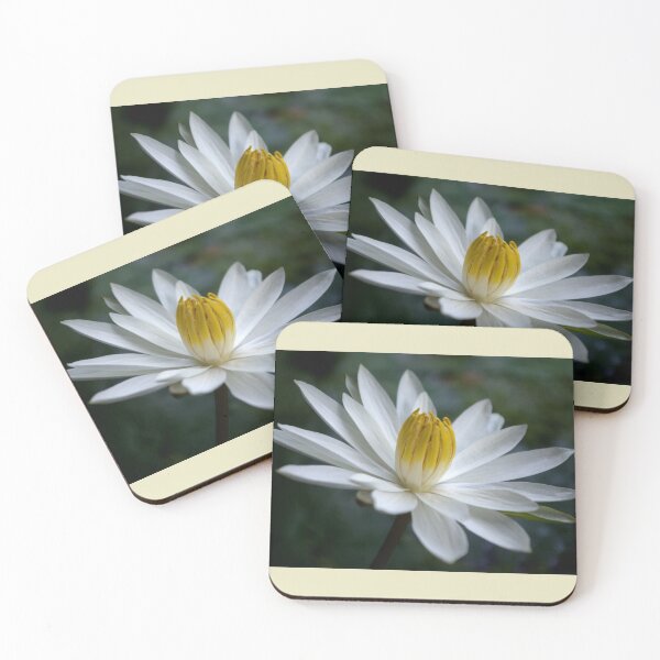 Item preview, White Radial Bloom designed and sold by Kerryn Madsen-Pietsch.