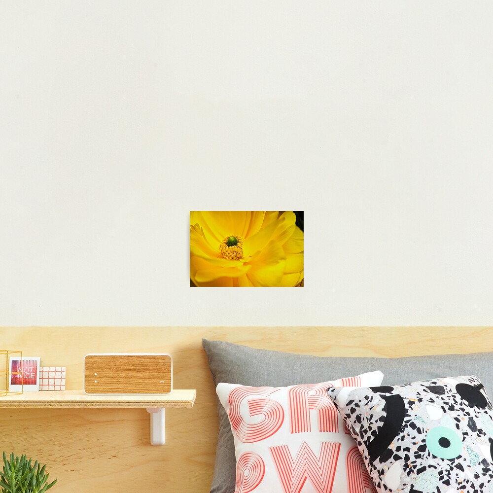 Item preview, Photographic Print designed and sold by littleoldhag.