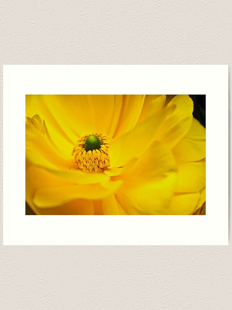 Thumbnail 2 of 3, Art Print, Yellow Within designed and sold by littleoldhag.