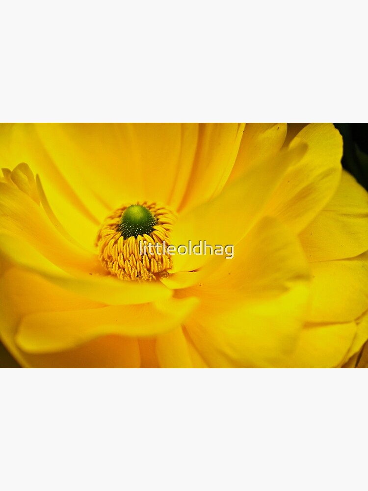 Thumbnail 3 of 3, Art Print, Yellow Within designed and sold by littleoldhag.