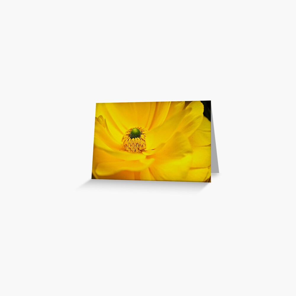Item preview, Greeting Card designed and sold by littleoldhag.