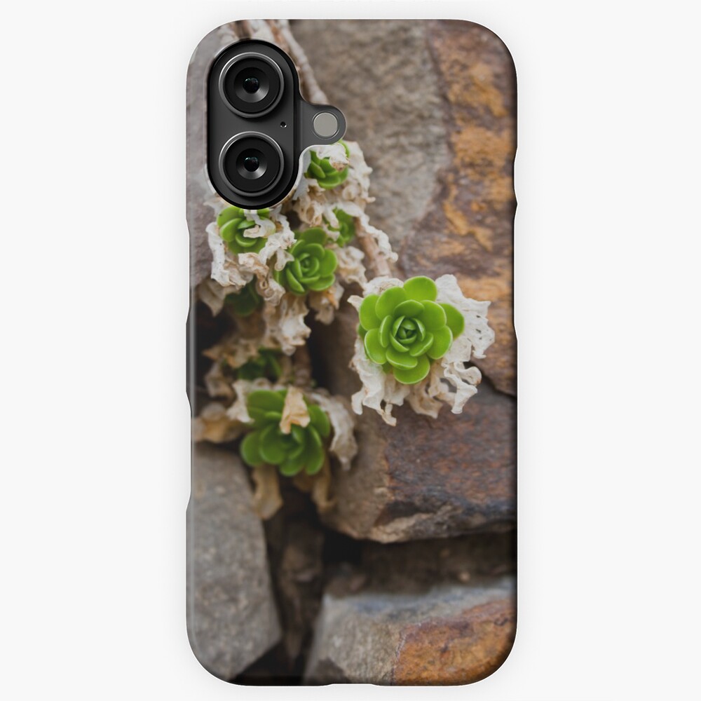 Item preview, iPhone Snap Case designed and sold by littleoldhag.