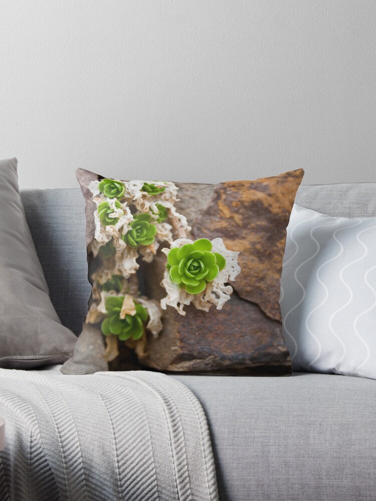 Item preview, Throw Pillow designed and sold by littleoldhag.