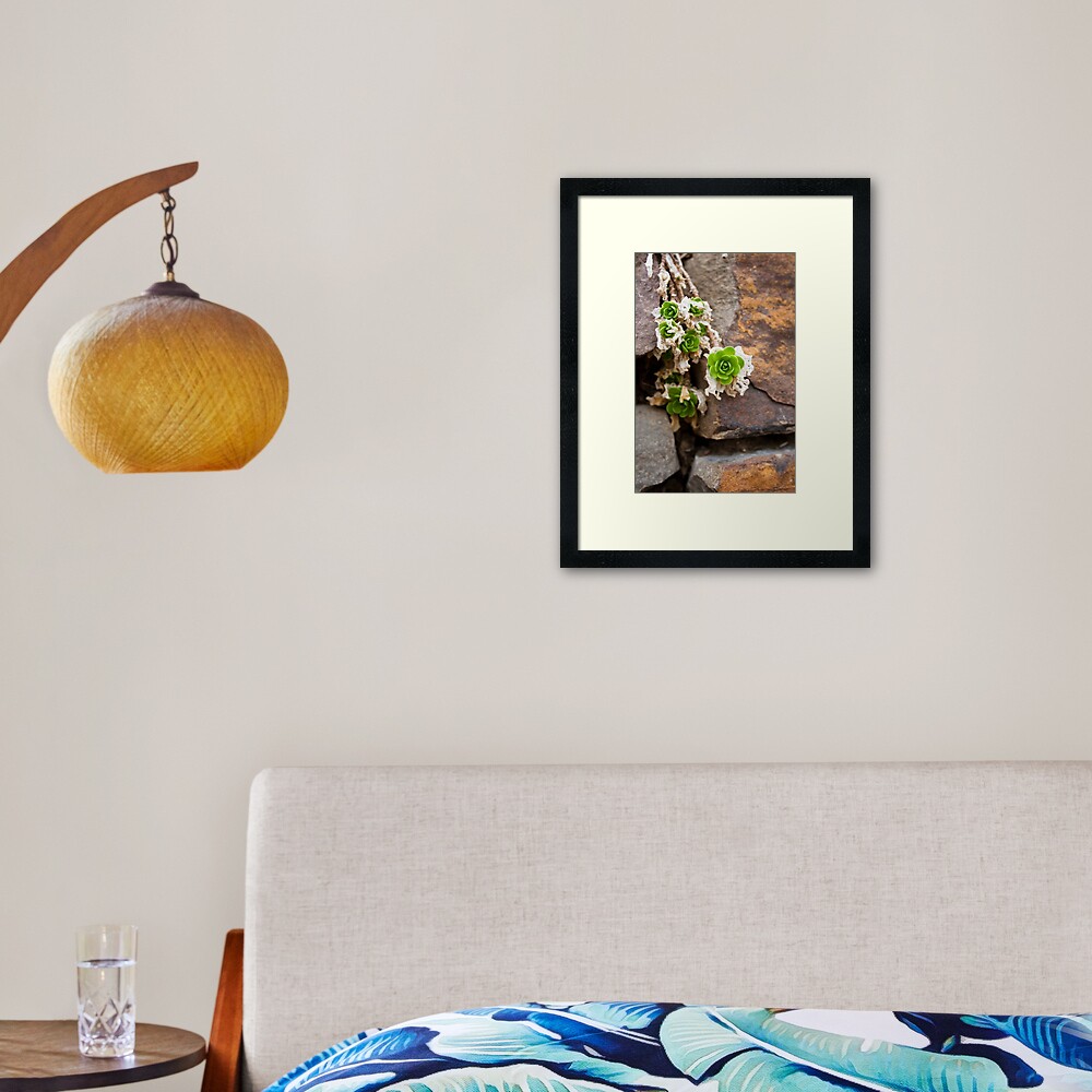 Item preview, Framed Art Print designed and sold by littleoldhag.