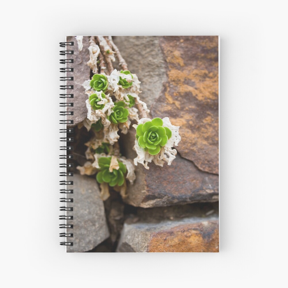 Item preview, Spiral Notebook designed and sold by littleoldhag.