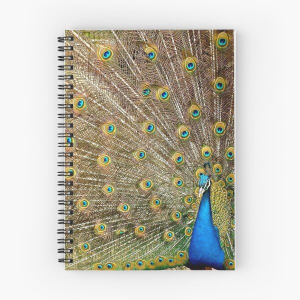 Item preview, Taouss Colorful Bird designed and sold by Amin Elbnouhi.