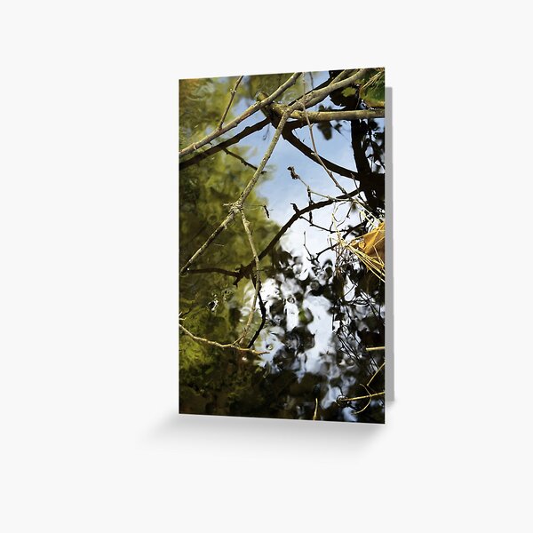 Busy Reflecting Greeting Card
