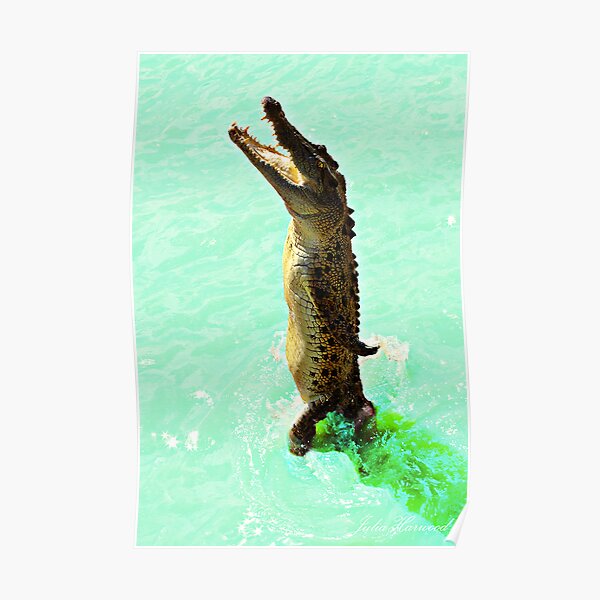 Jumping Crocodile Poster