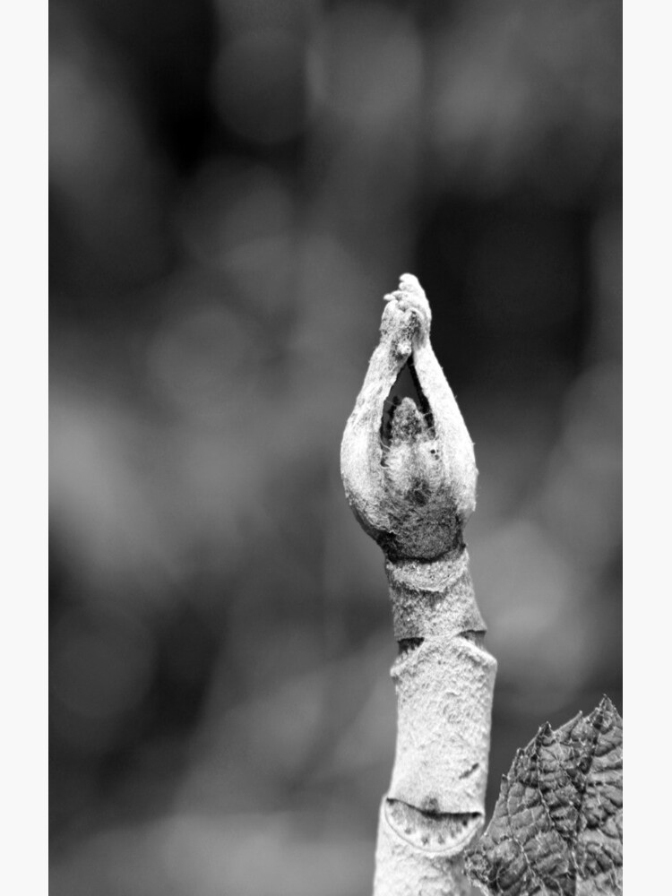 Thumbnail 4 of 4, Samsung Galaxy Phone Case, Hands Lifted designed and sold by littleoldhag.