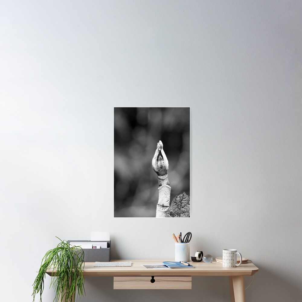 Item preview, Poster designed and sold by littleoldhag.