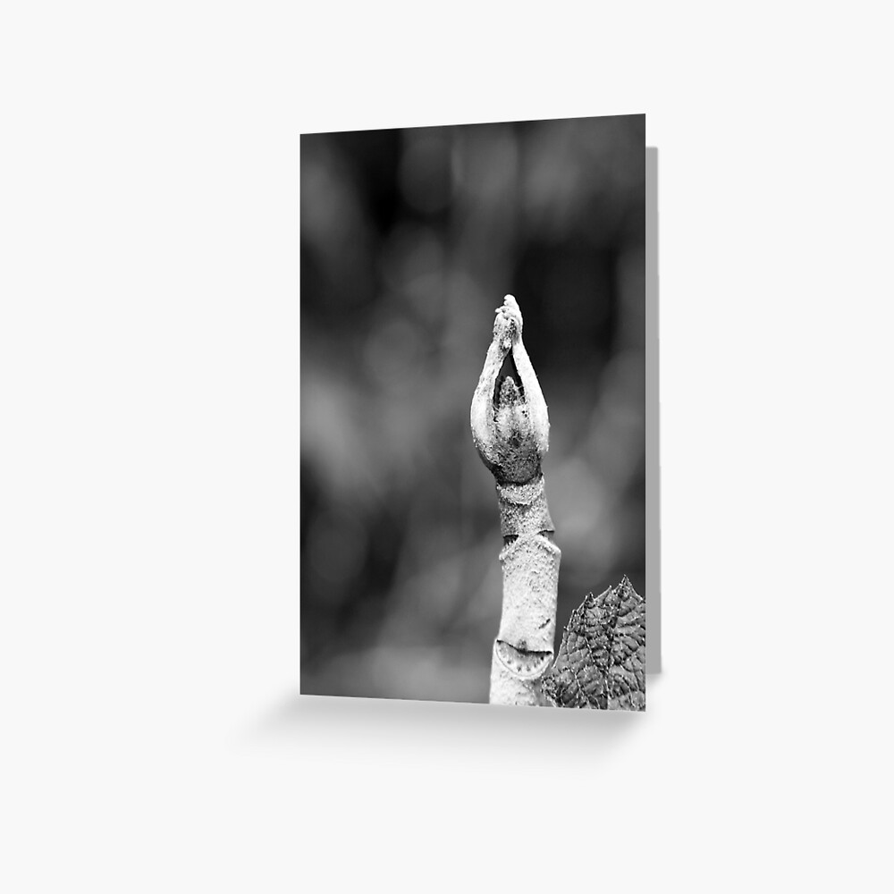 Item preview, Greeting Card designed and sold by littleoldhag.