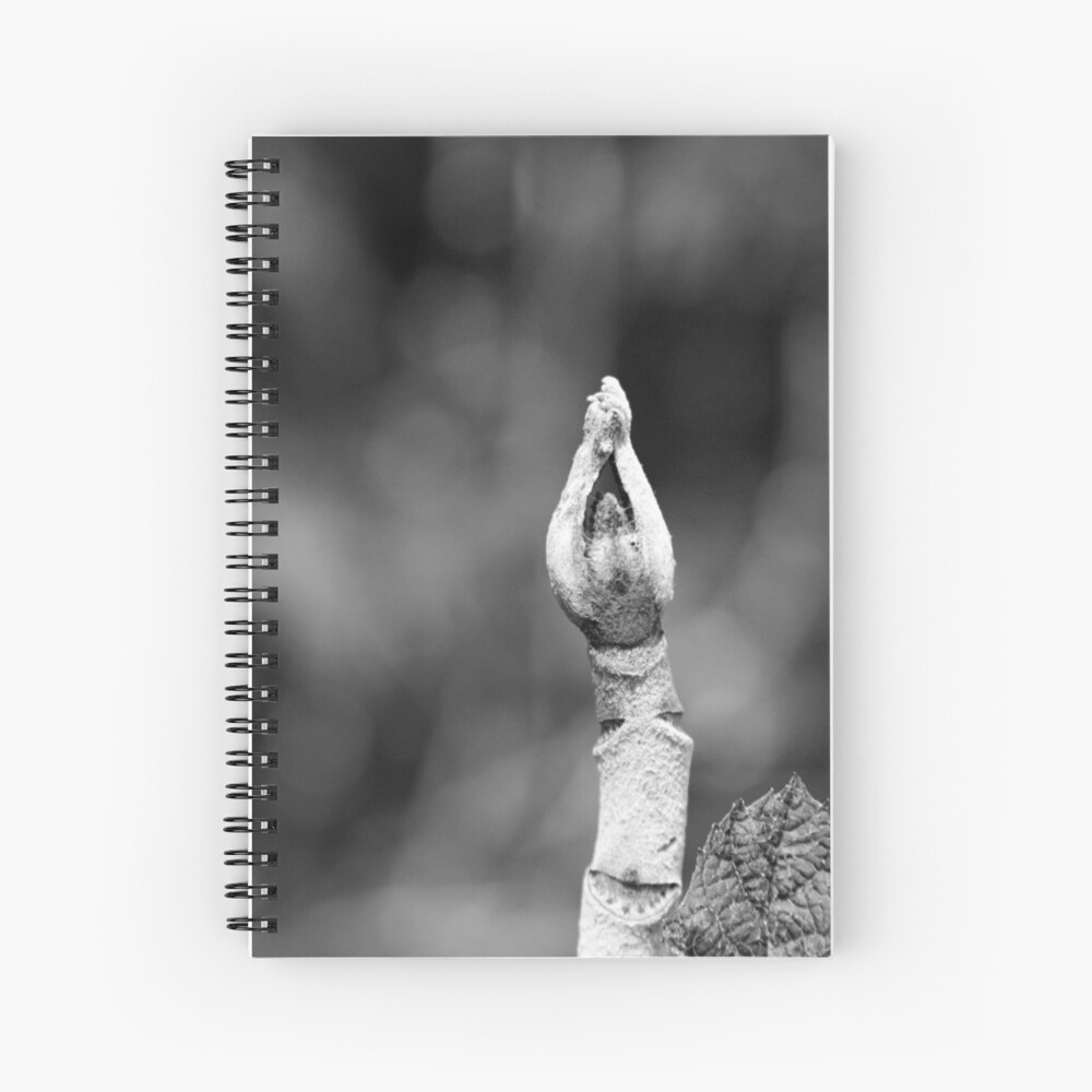 Item preview, Spiral Notebook designed and sold by littleoldhag.