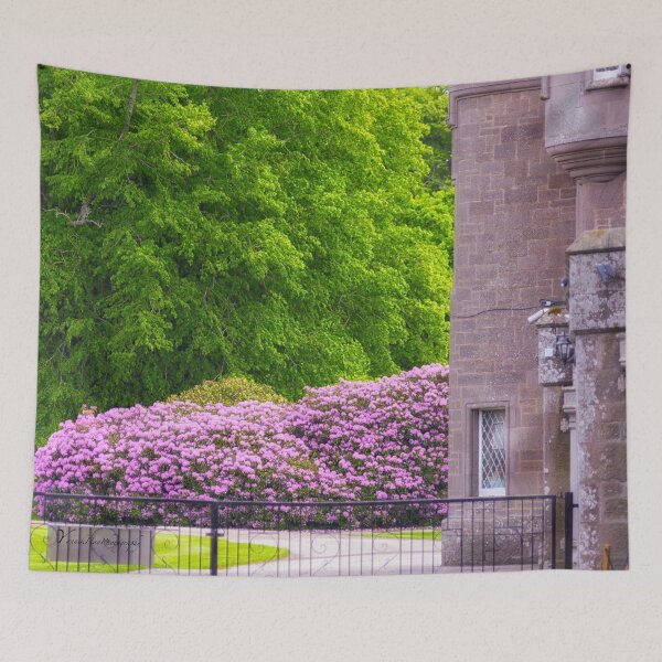 Item preview, Hydrangea, Glamis Castle Garden, Scotland, UK designed and sold by Yannik Hay.