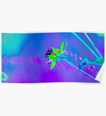 Flower Fly Poster