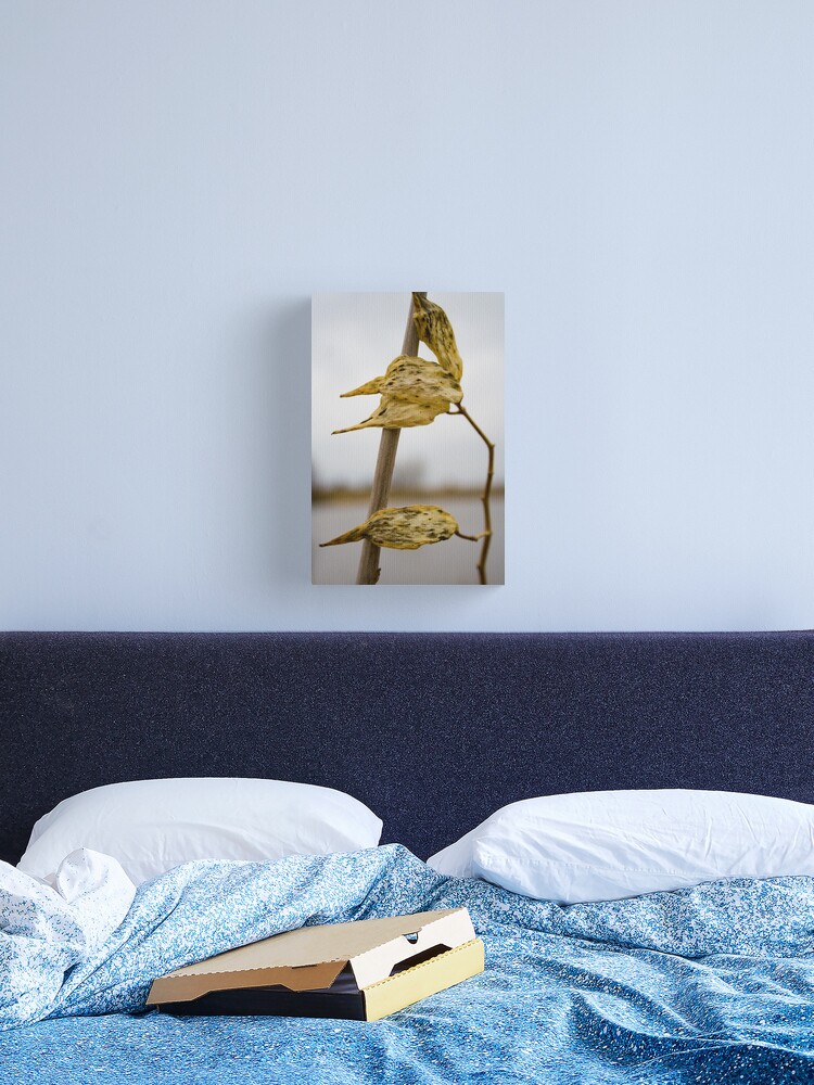 Thumbnail 1 of 3, Canvas Print, Grip designed and sold by littleoldhag.