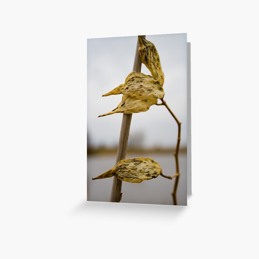 Item preview, Greeting Card designed and sold by littleoldhag.