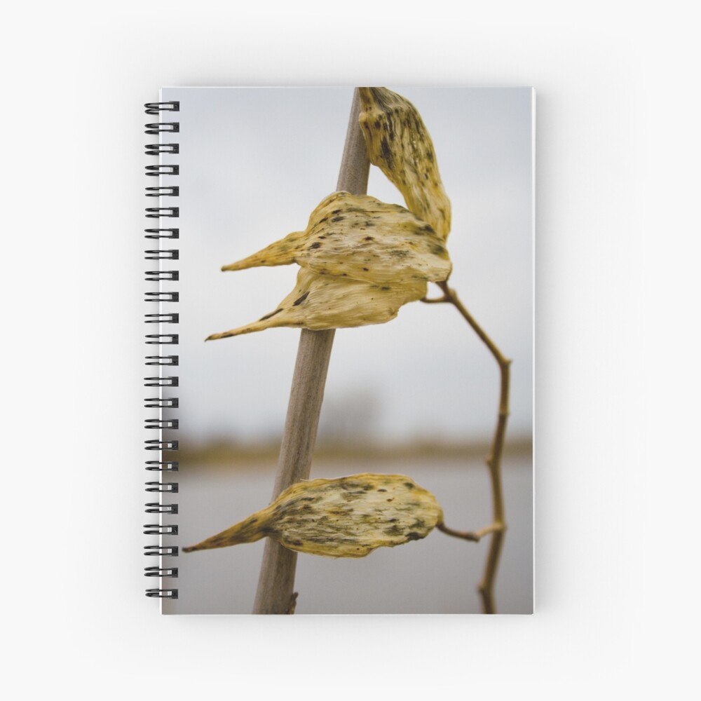 Item preview, Spiral Notebook designed and sold by littleoldhag.