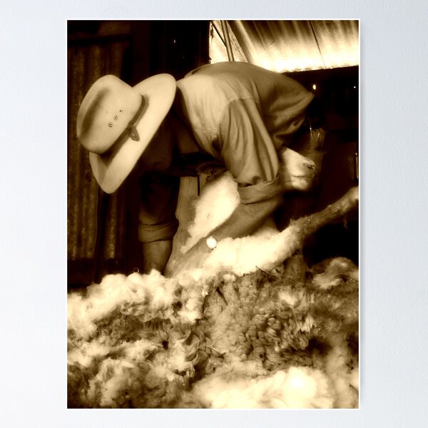 Item preview, shearing in spring designed and sold by greg angus.