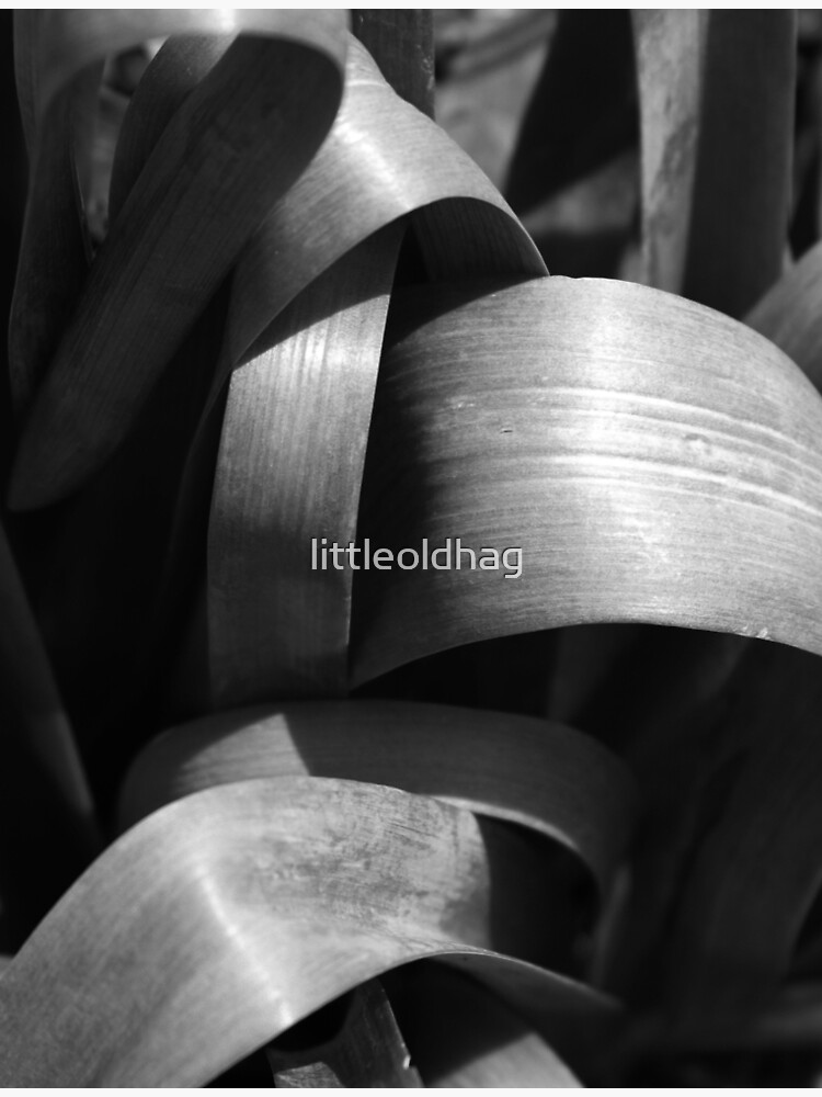 Thumbnail 3 of 3, Poster, Like Ribbon designed and sold by littleoldhag.