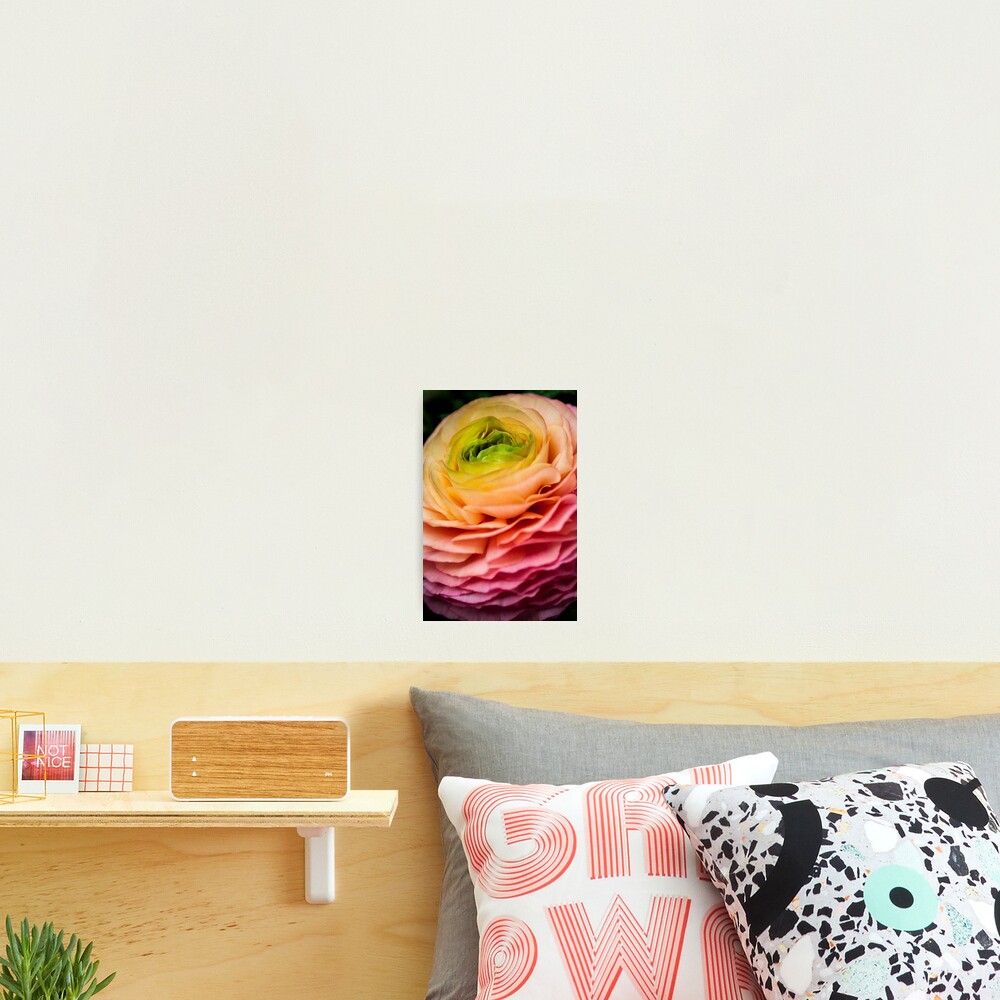 Item preview, Photographic Print designed and sold by littleoldhag.