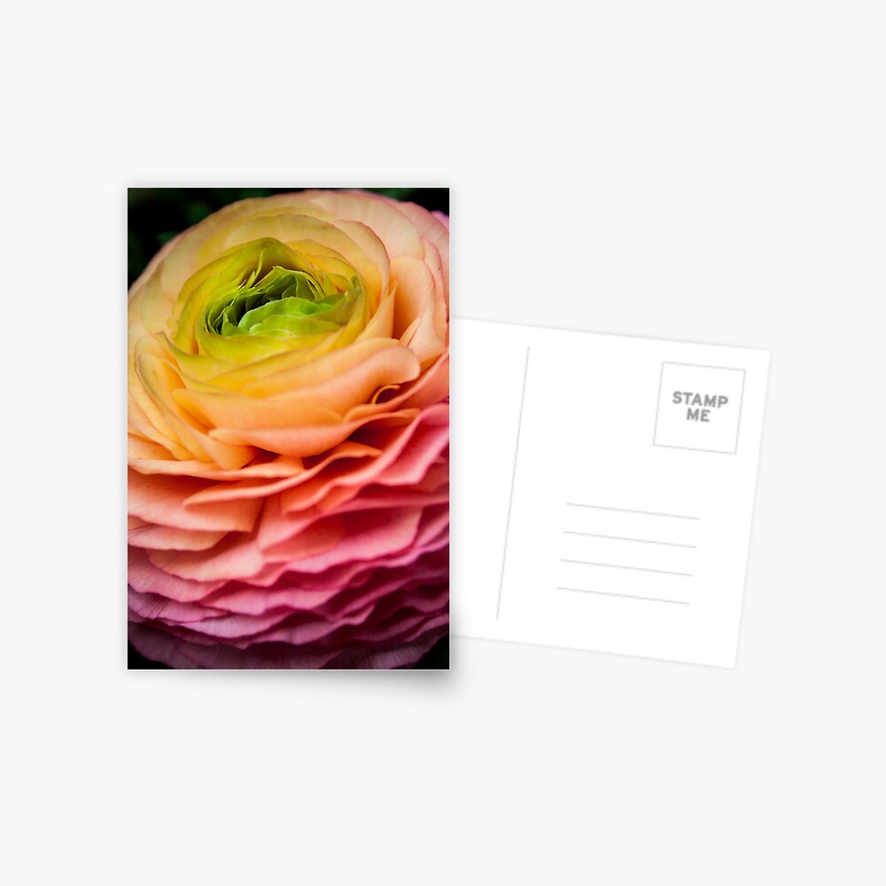 Item preview, Postcard designed and sold by littleoldhag.