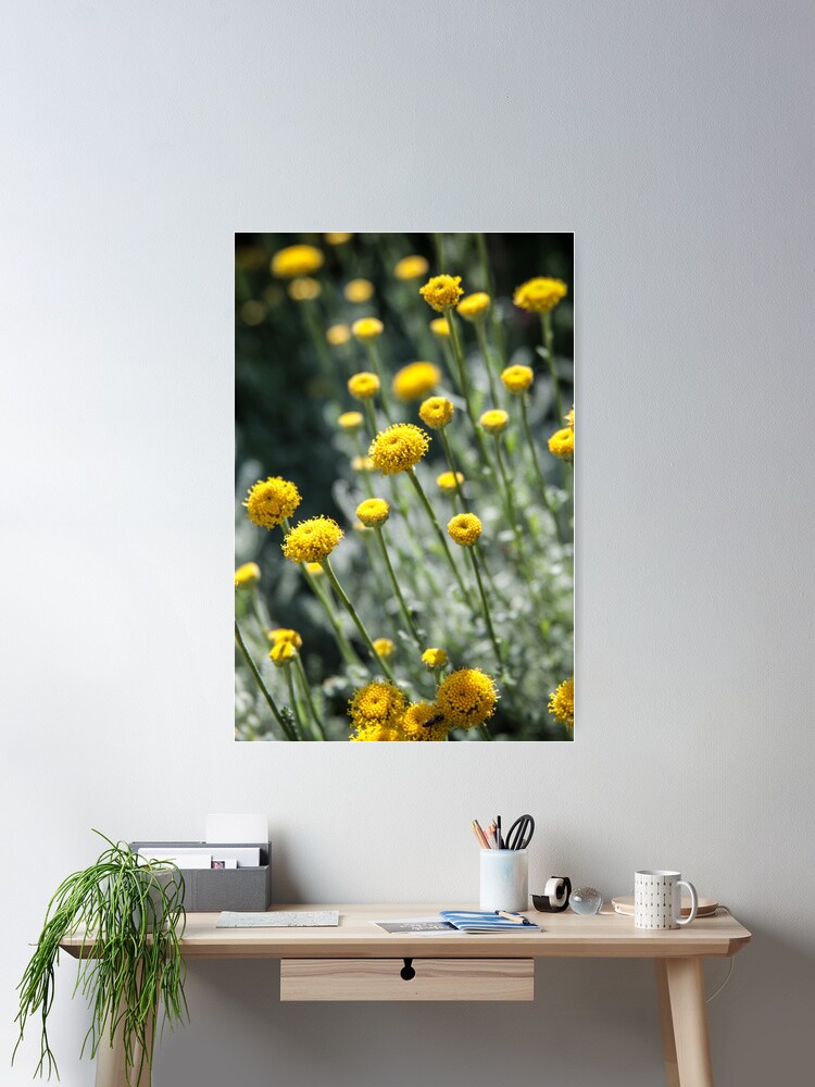 Thumbnail 1 of 3, Poster, Yellow Stretch designed and sold by littleoldhag.