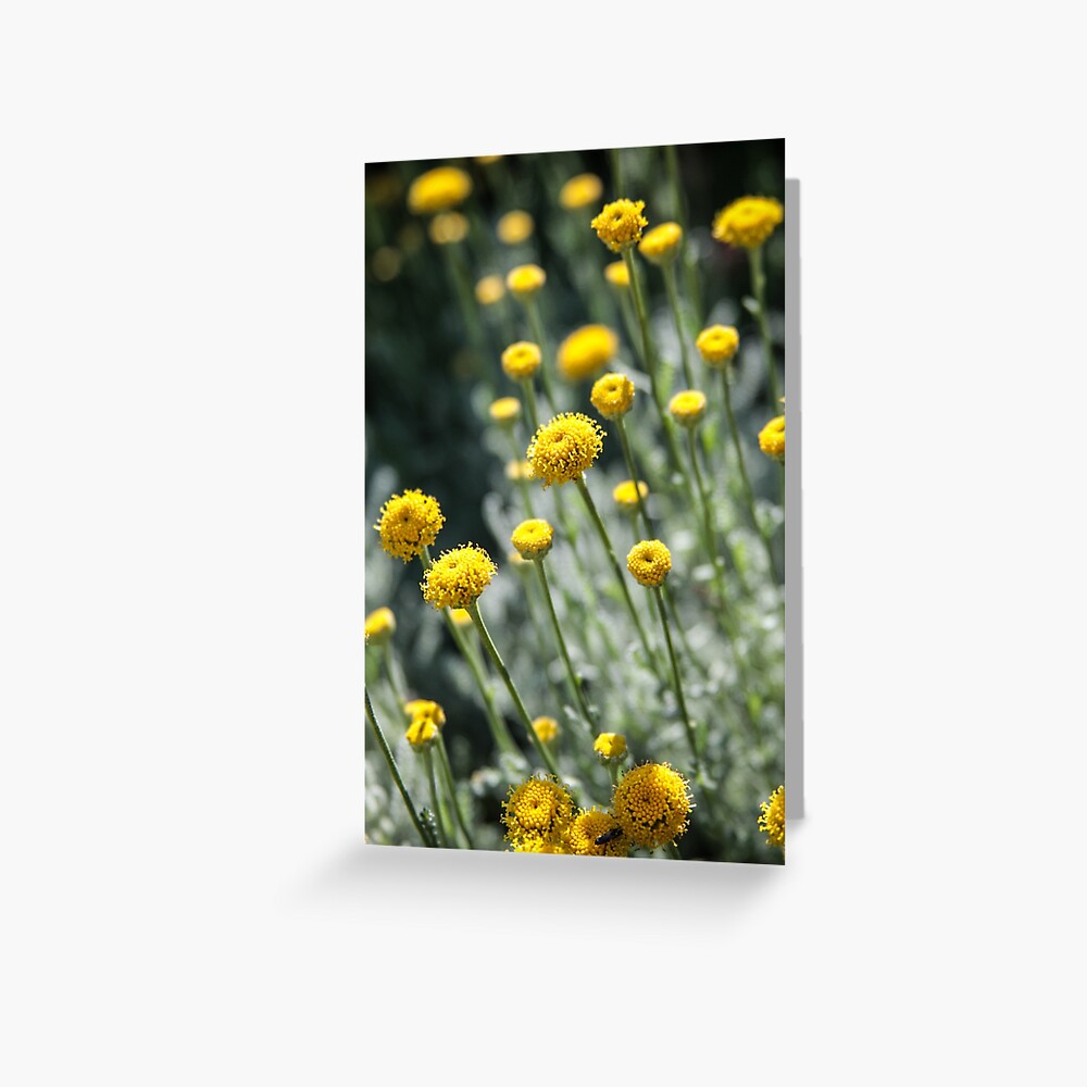 Item preview, Greeting Card designed and sold by littleoldhag.