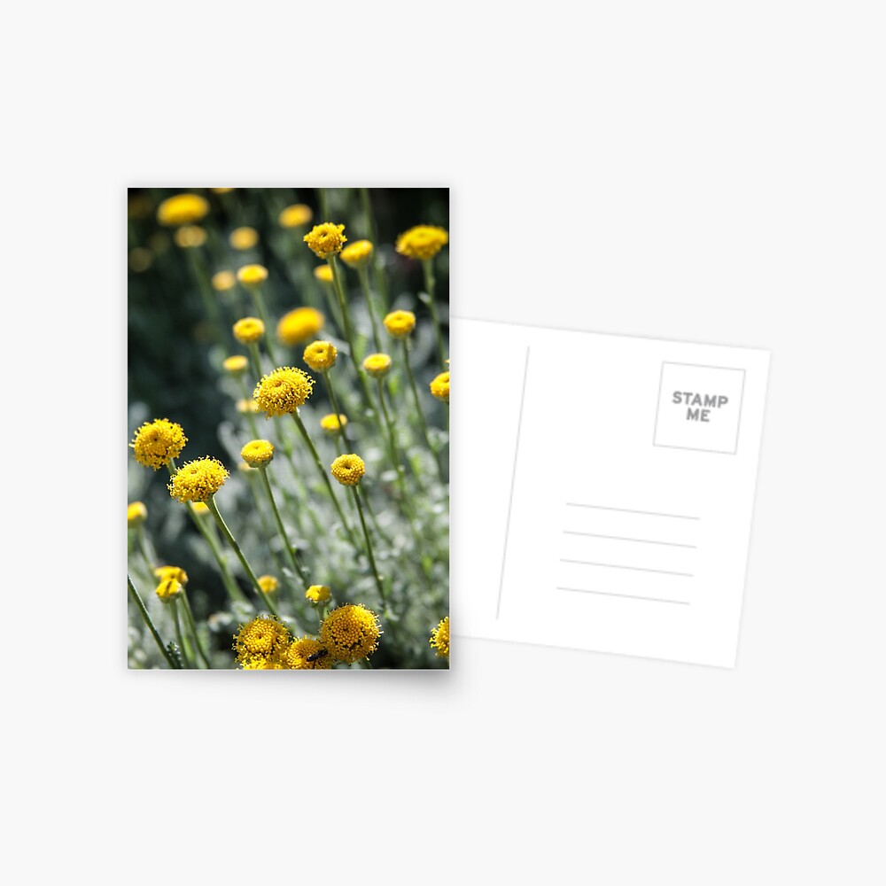 Item preview, Postcard designed and sold by littleoldhag.