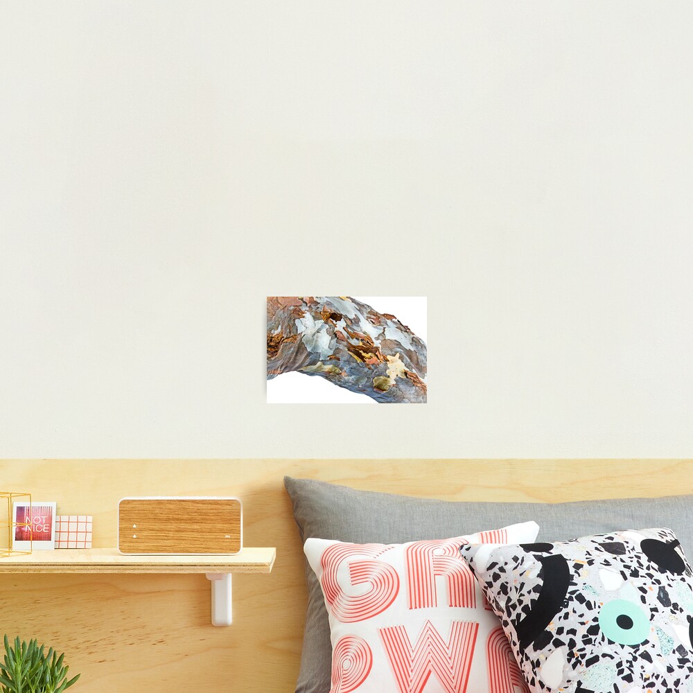 Item preview, Photographic Print designed and sold by littleoldhag.