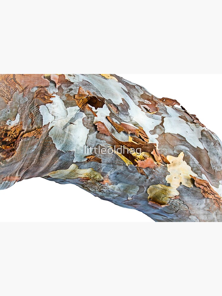 Thumbnail 2 of 2, Greeting Card, Patchwork Bark designed and sold by littleoldhag.
