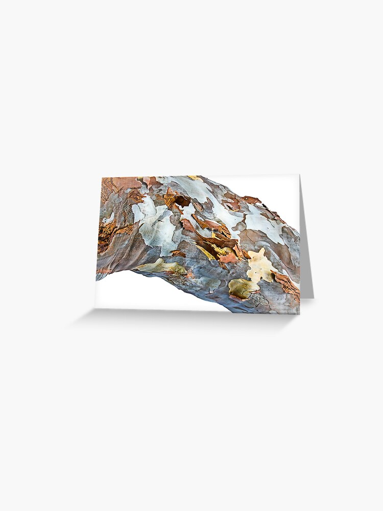 Thumbnail 1 of 2, Greeting Card, Patchwork Bark designed and sold by littleoldhag.