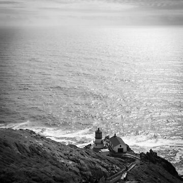 Artwork thumbnail, Lighthouse Point Reyes by littleoldhag